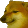 828725675707203624