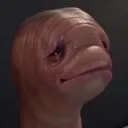 meat