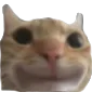 valcat_fly valcat_fly