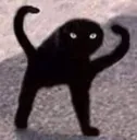 Cursed Cat Cursed_Cat Discord Emoji