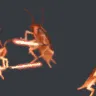 hoesduel