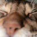 IK_momosquint Discord emoji