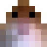 sHampixels