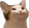 PauseChamp