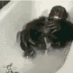 monkeswim