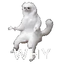 why