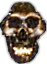 androidskullemoji