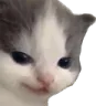 hehe