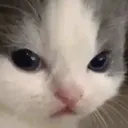 not_hehe