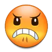 Samsung_Angry_Face