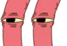 sus