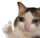 sadcat Discord Emoji