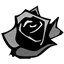 blackrose