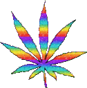 sparkledank