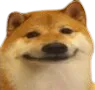 DogOK DogOK