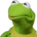 KermitStare
