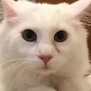 YukiConcerned