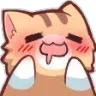 cat_drool