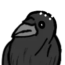crowconfused
