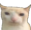 887400707366469693