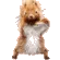 Squirrel_Dance
