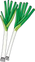 leek_