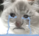 gadseverysadge
