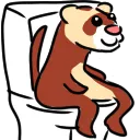 ferrettoilet