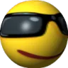 sunglas