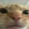 h_
