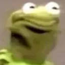 KermitConcerned
