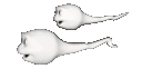 v0sperm_askb4steal