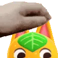 tangypat tangypat