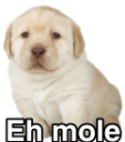 ehmole_Cassi Discord emoji