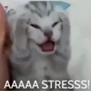 RNX_stress