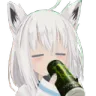 FubukiSip