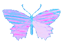 :YK_Butterfly: