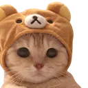 d46dbeb2da353d65dea355092f685d02