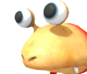 BULBORB_WHAT BULBORB_WHAT