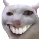 kok kok