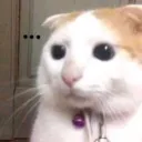 lozjztr