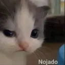 nojado