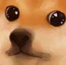 shibacry_zr
