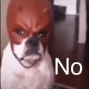 no