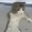 trolledon