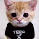 cheeb