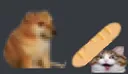 bonkAlex