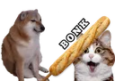 gx_alexBonk gx_alexBonk