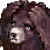 ohno