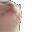 JamminHarderCat